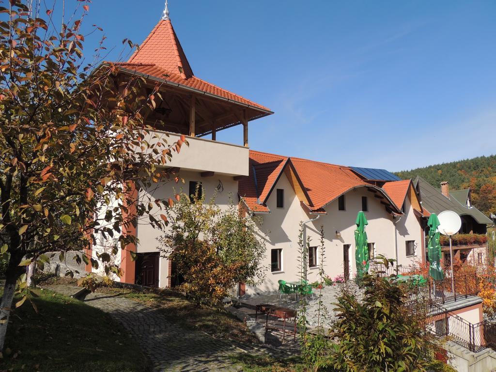 Mokus Panzio Bed & Breakfast Bicfalau Luaran gambar
